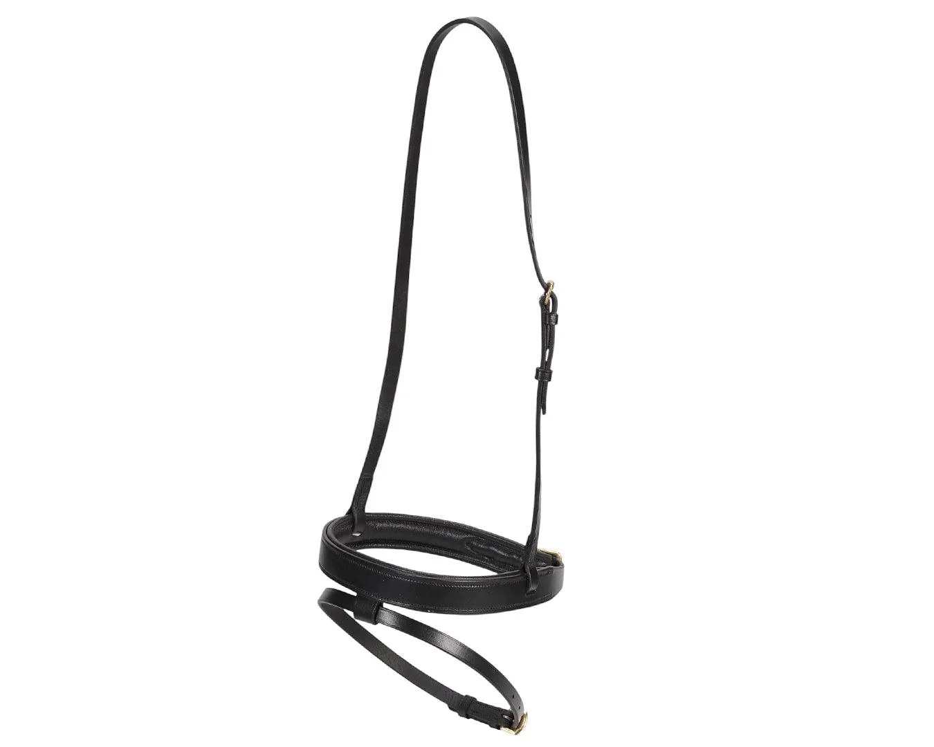 Jeremy & Lord Hanoverian Noseband
