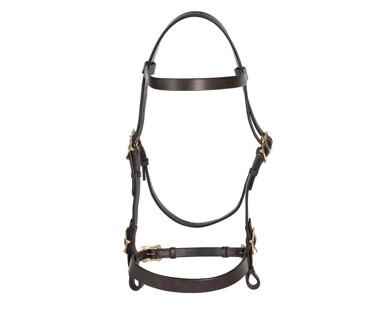 Jeremy & Lord In-Hand Flat Show Bridle - Brown - Image 2