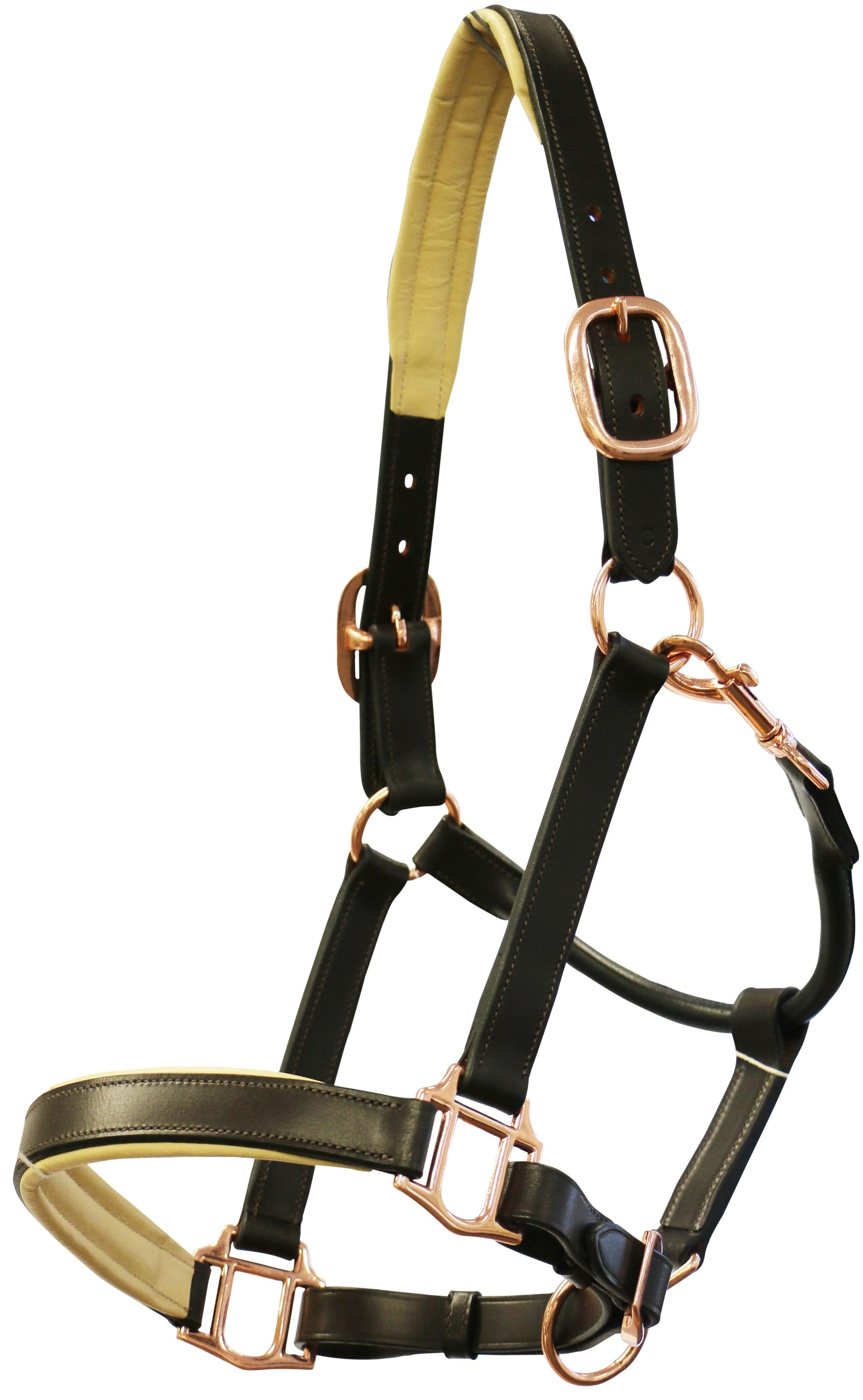 Jeremy & Lord Padded Leather Halter w/Rose Gold Fittings