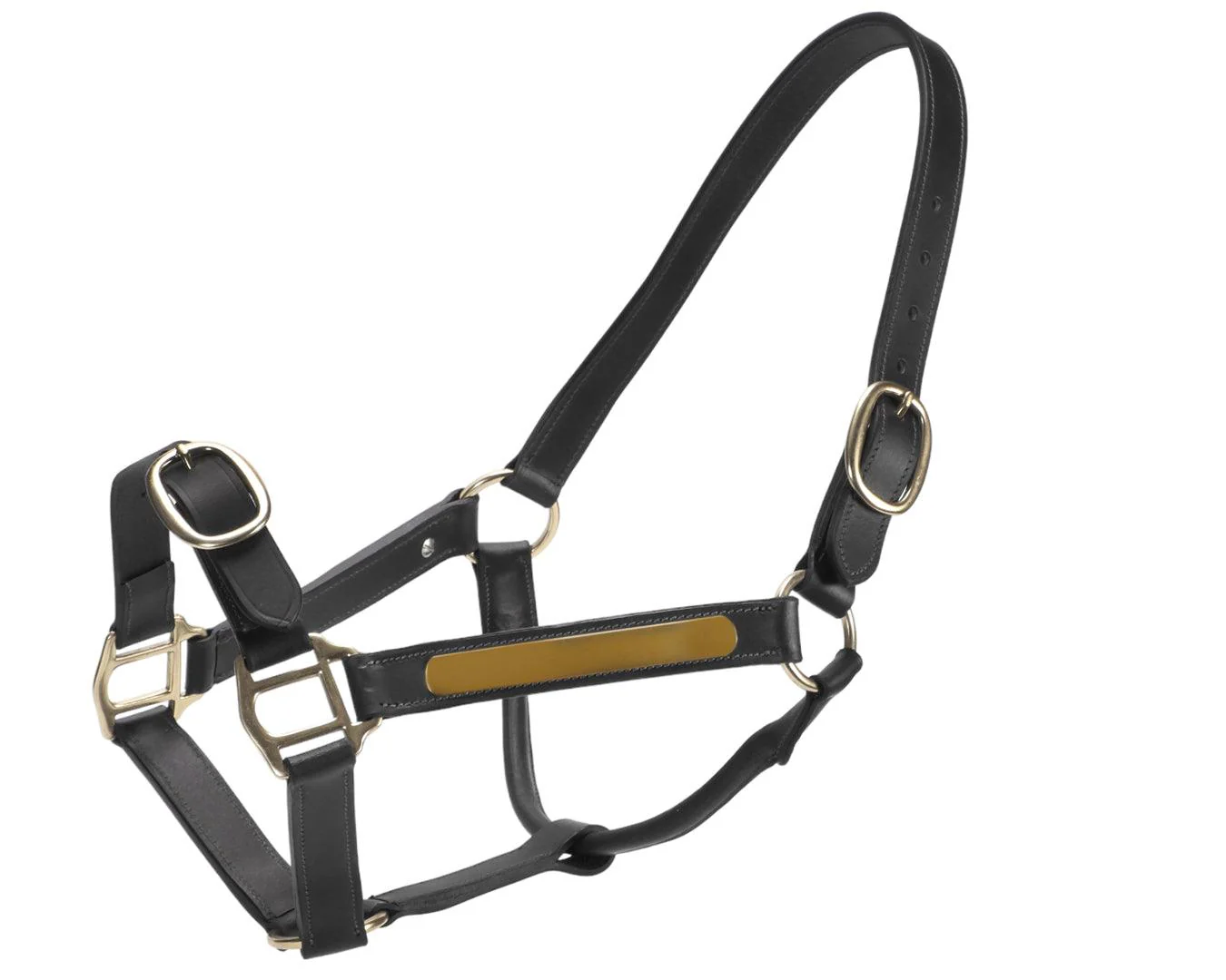 Jeremy & Lord Thoroughbred Halter w/Nameplate - Image 4