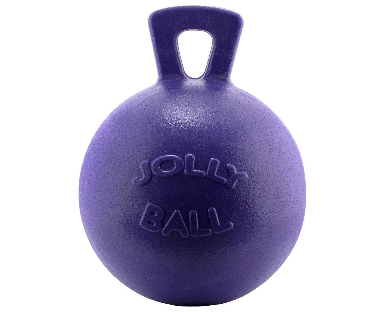 Jolly Ball Horse Play Ball - 10" - Image 9