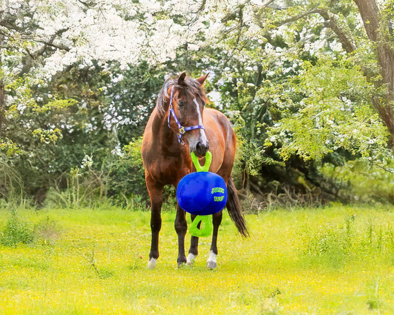 Jolly Tug Inflatable Ball - Image 3