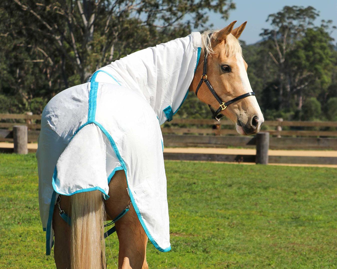 Kool Master Flag Horse Rug Combo - White & Turquoise - Image 2