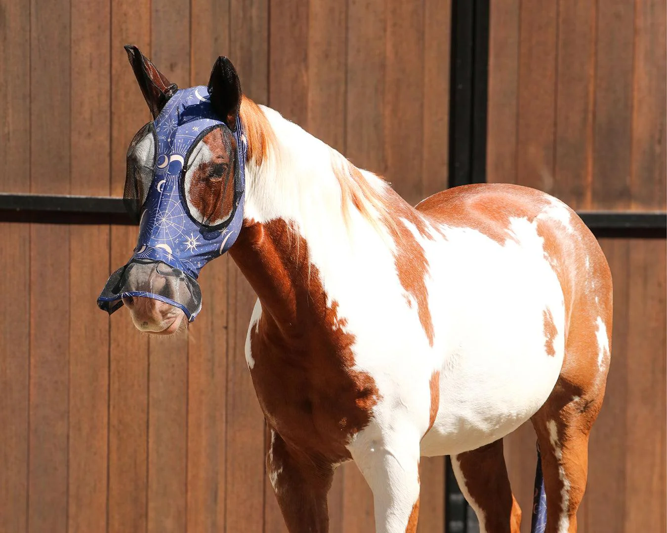 Kool Master Lycra Pull On Fly Mask - Celestial Star - Image 2
