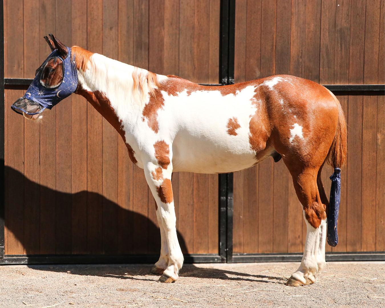 Kool Master Lycra Pull On Fly Mask - Celestial Star - Image 3