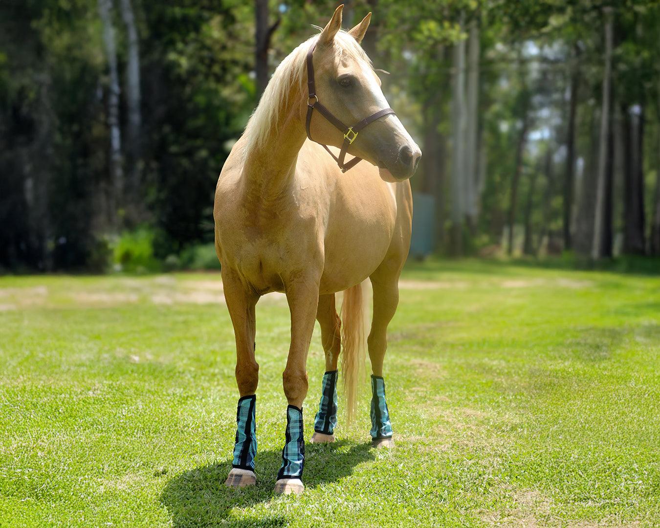 Kool Master PVC Mesh Fly Boots Turquoise - Set of 4 - Image 4