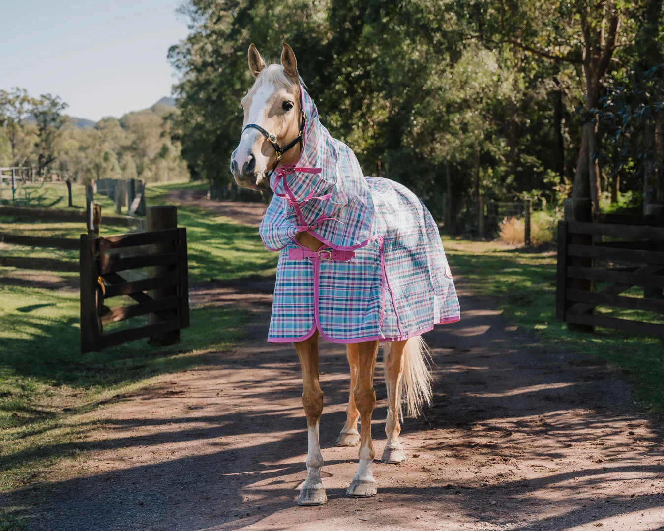 Kool Master PVC Shade Mesh Horse Rug Combo - Ice Blue/Pink - Image 2
