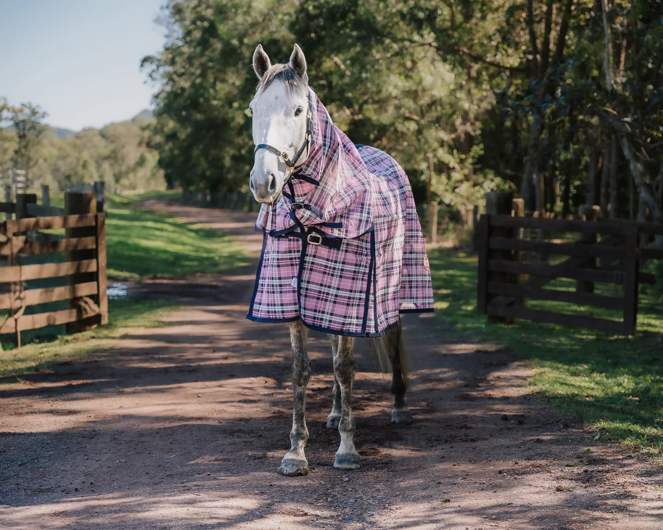 Kool Master PVC Shade Mesh Horse Rug Combo - Pink & Navy - Image 2