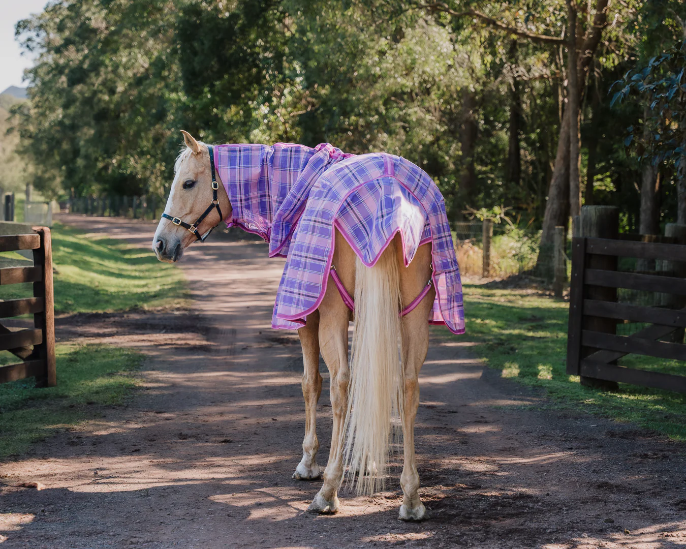 Kool Master PVC Shade Mesh Horse Rug Combo - Pink & Purple - Image 3
