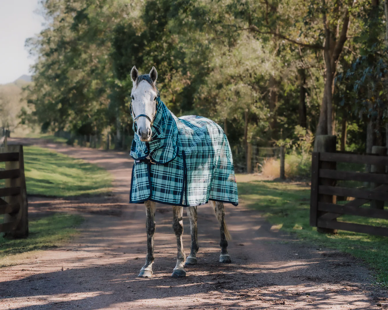 Kool Master PVC Shade Mesh Horse Rug Combo - Turquoise & Navy - Image 2