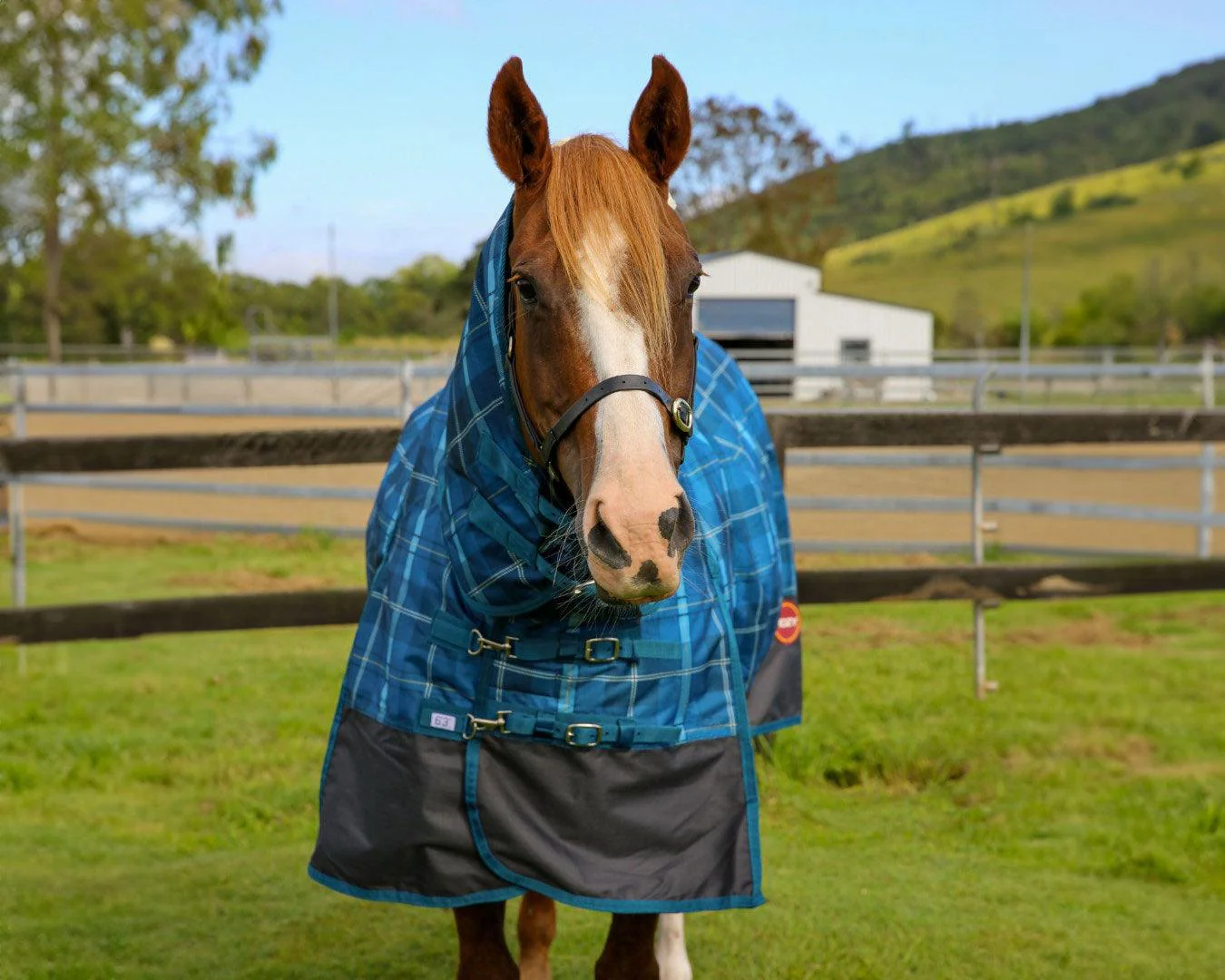 Kozy 1200D 250G Fill Nylon Combo - Blue Tartan - Image 2