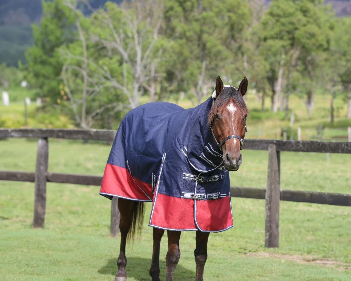 Kozy 1200D 100G Fill Queenslander Nylon Combo - Image 5