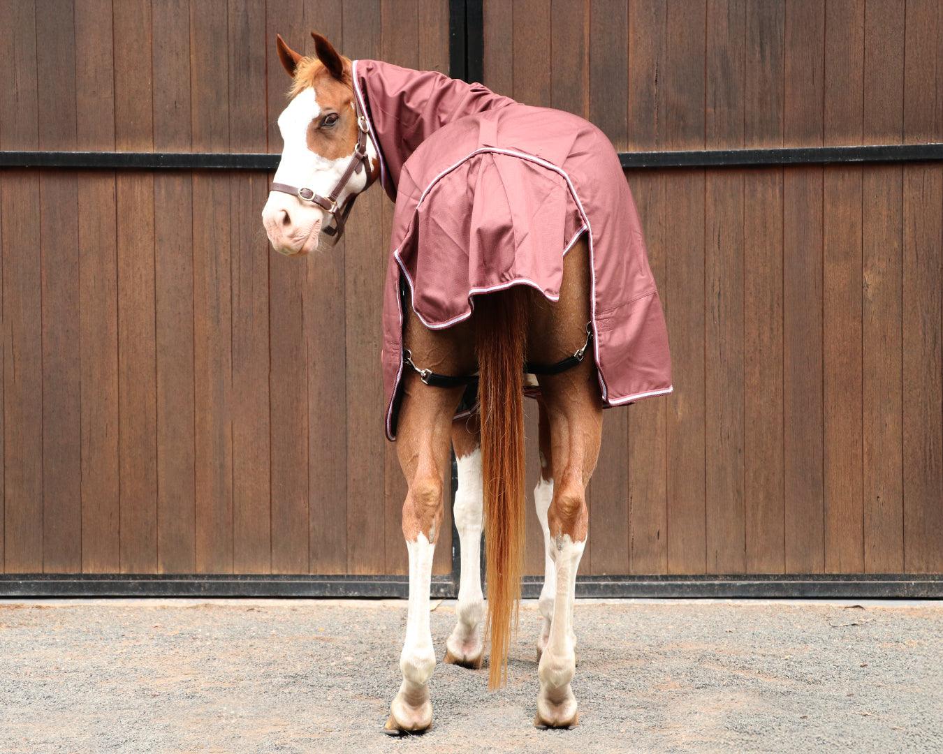 Kozy 1200D Lite Rainsheet Horse Rug Combo - Chocolate - Image 7