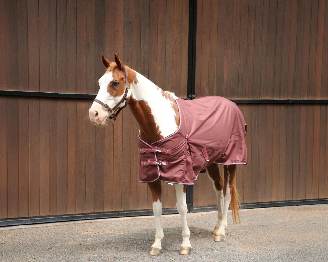 Kozy 1200D Rainsheet Rug - Image 6
