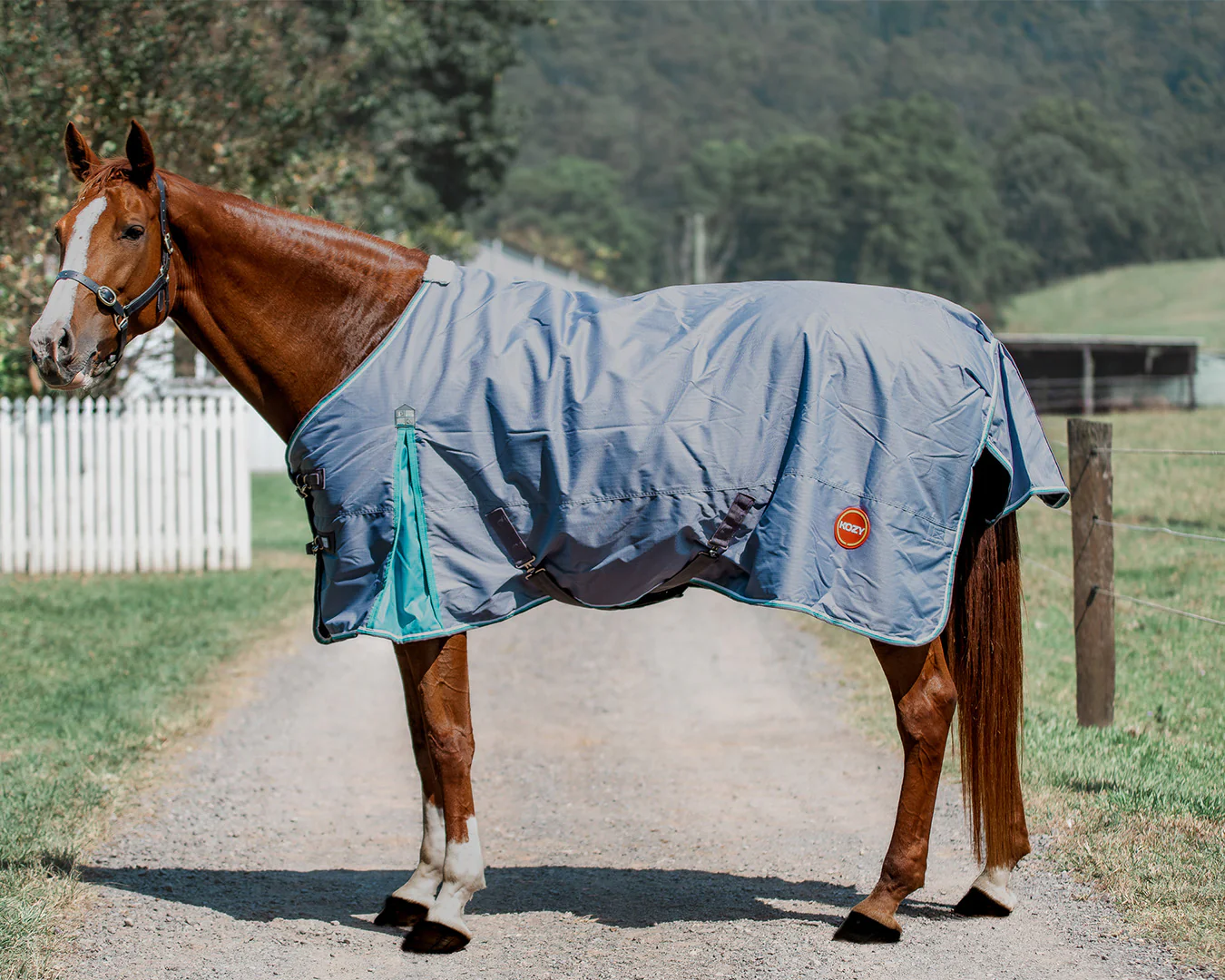 Kozy 600D 100G Fill Winter Rug- Grey