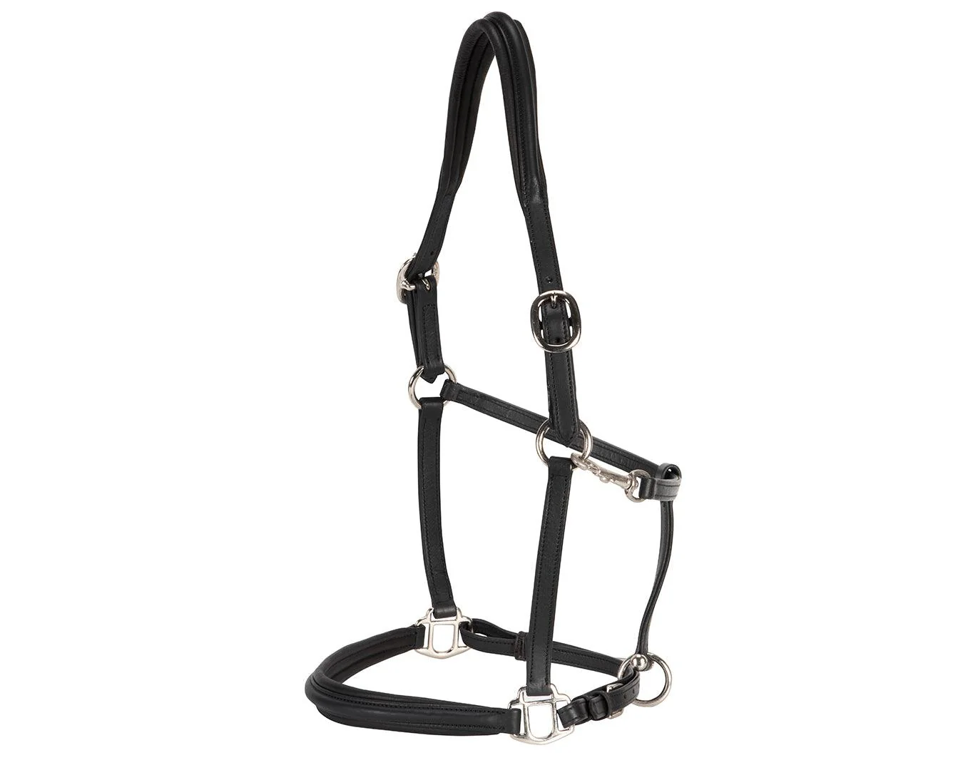 Landsborough Leather Halter - Black