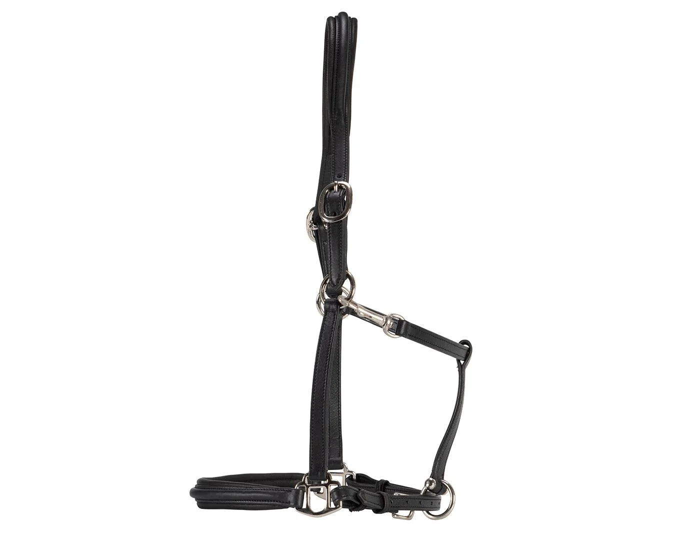 Landsborough Leather Halter - Black - Image 2