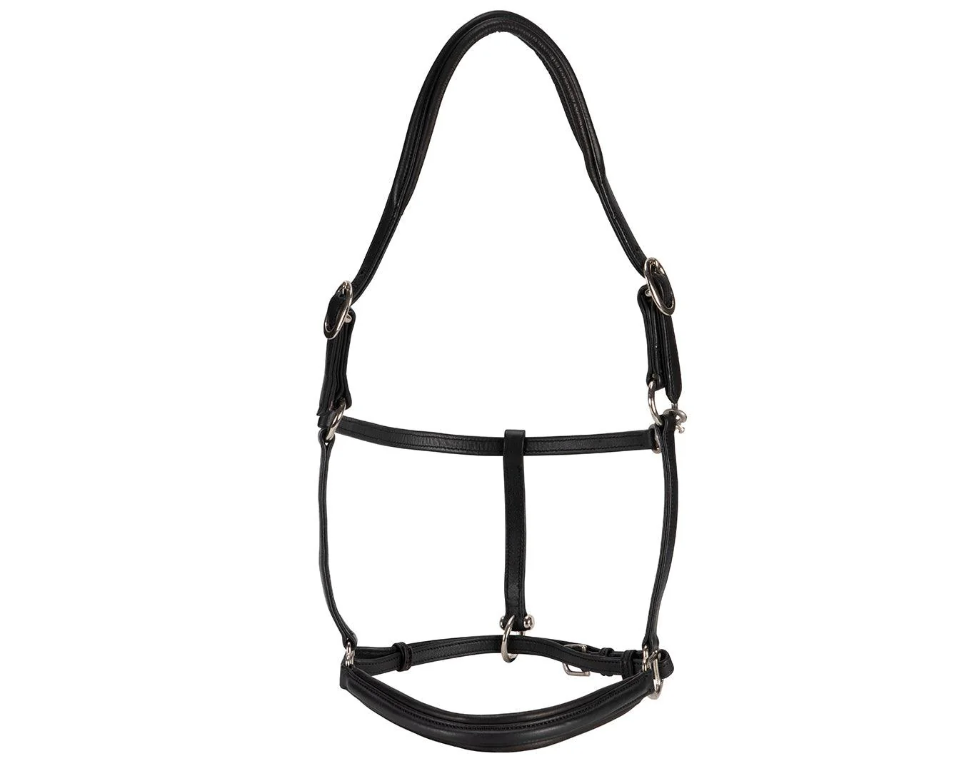 Landsborough Leather Halter - Black - Image 3