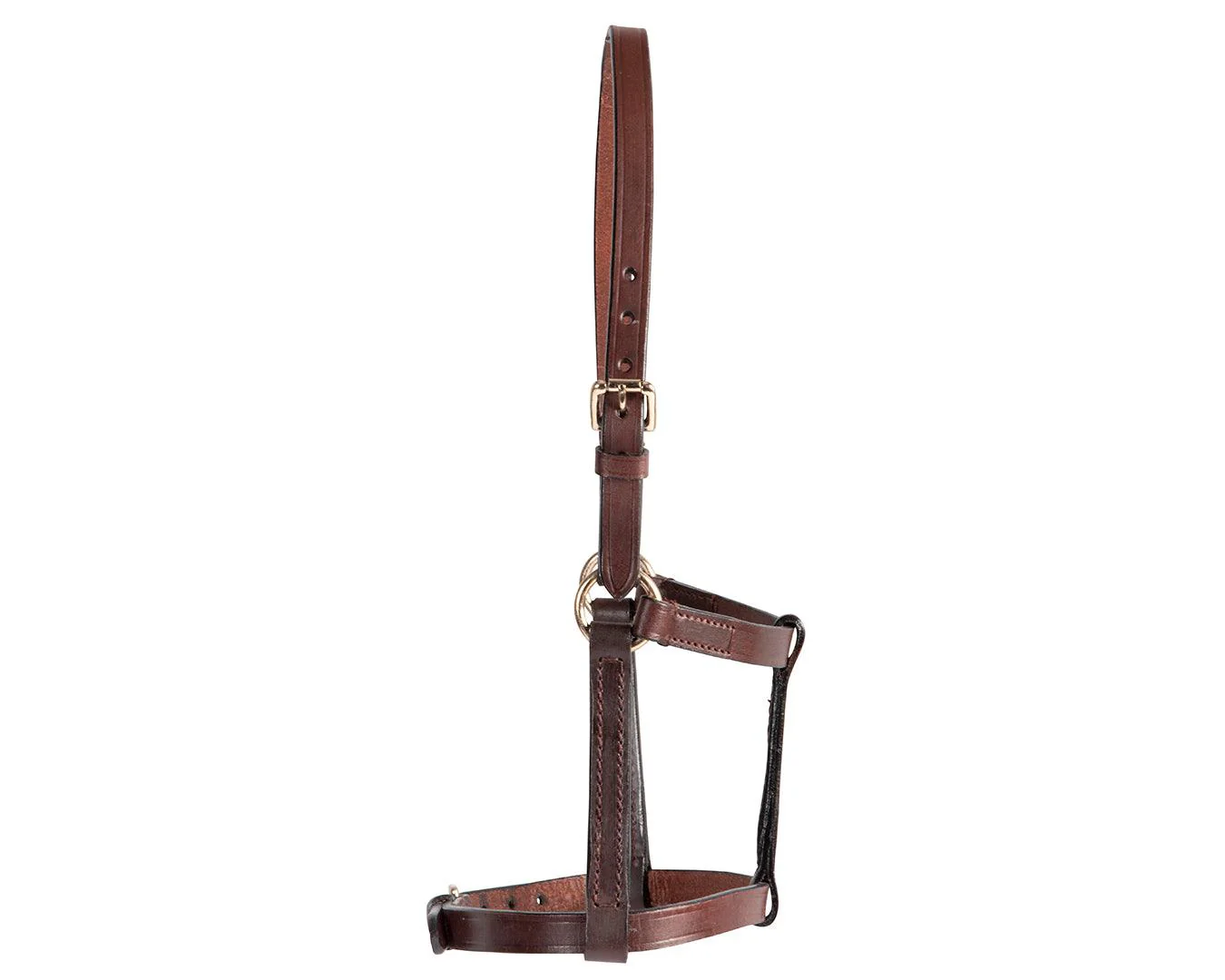 STC Leather Foal Halter - Brown - Image 2