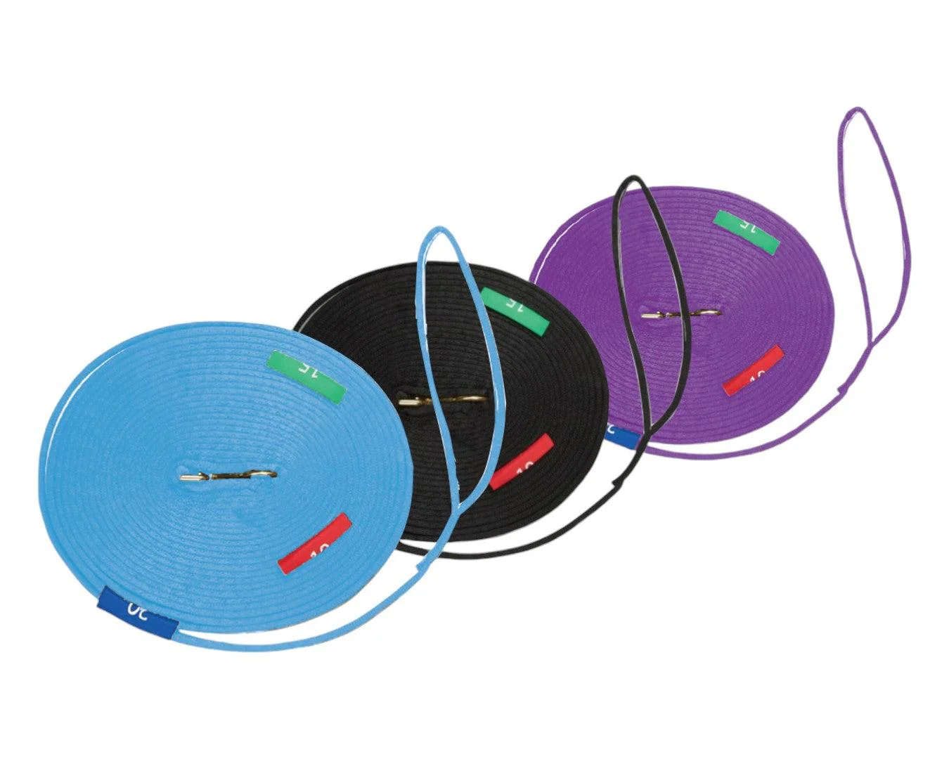 Lunge Lead with Circle Markers