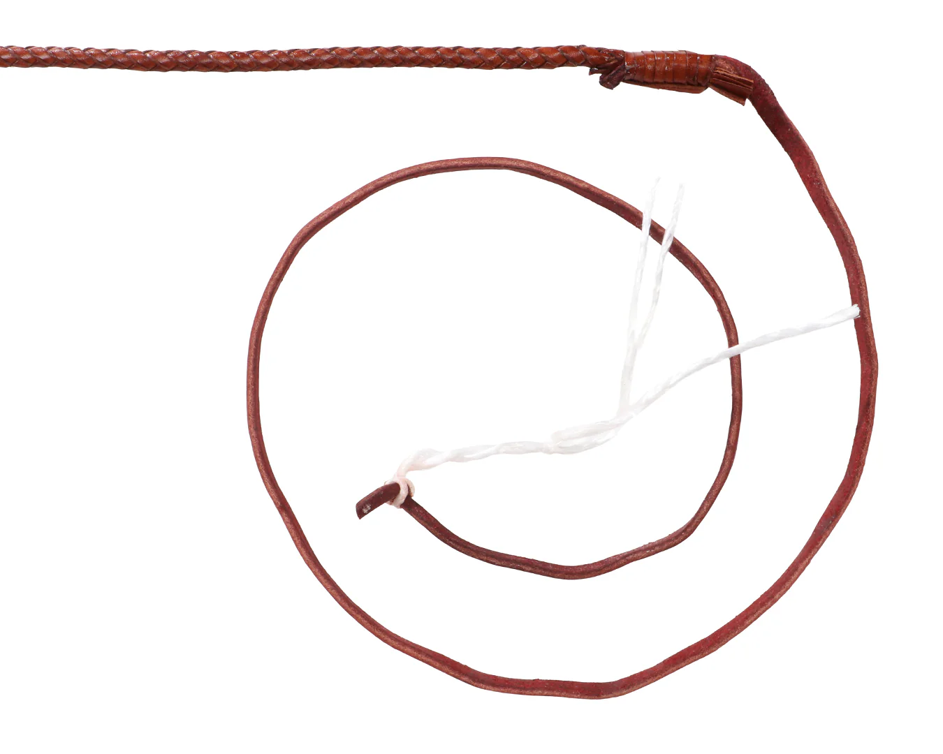 Nemeth Kangaroo Bullwhip - 12 Plait - Image 4