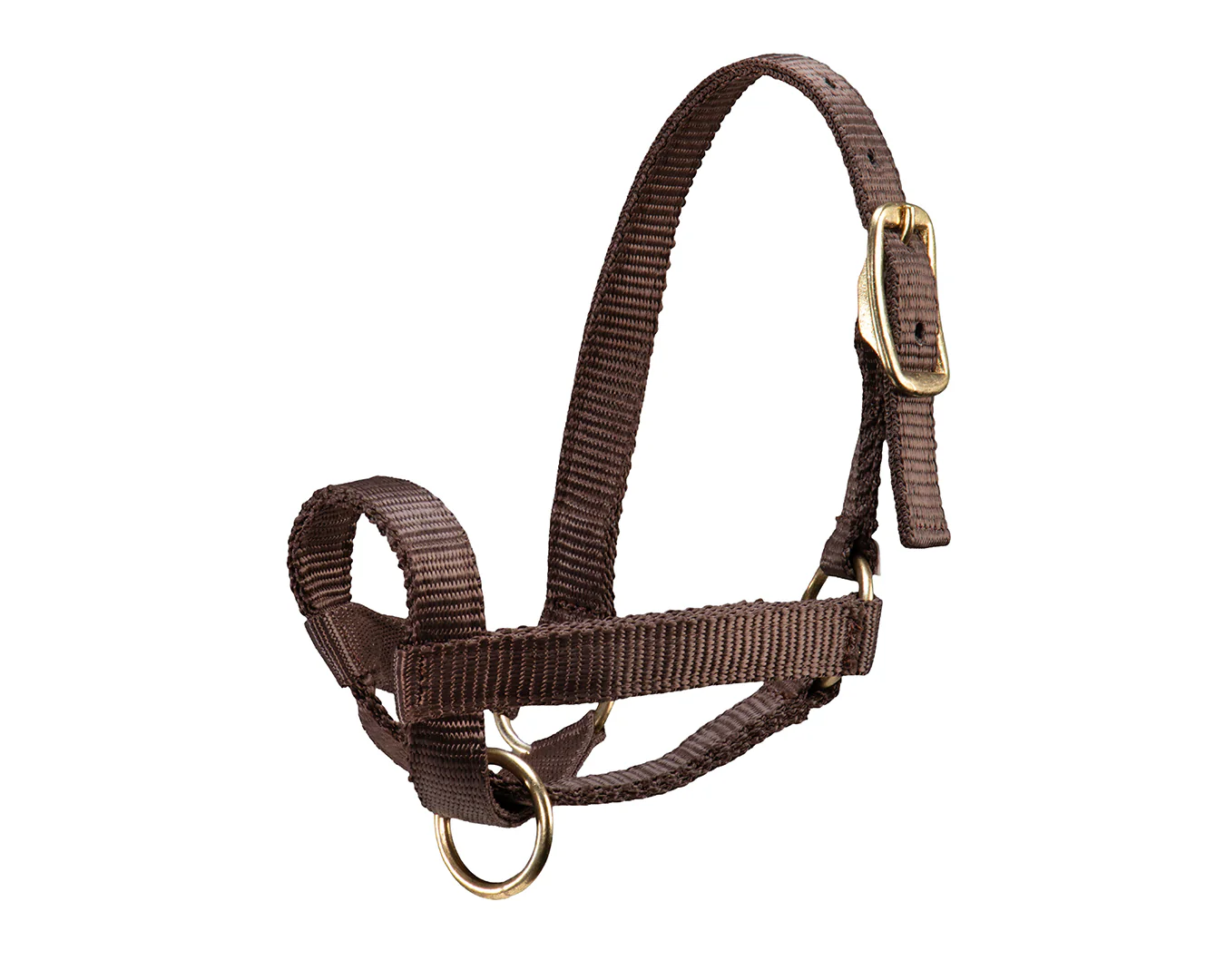 STC Nylon Livestock Halter - Image 7