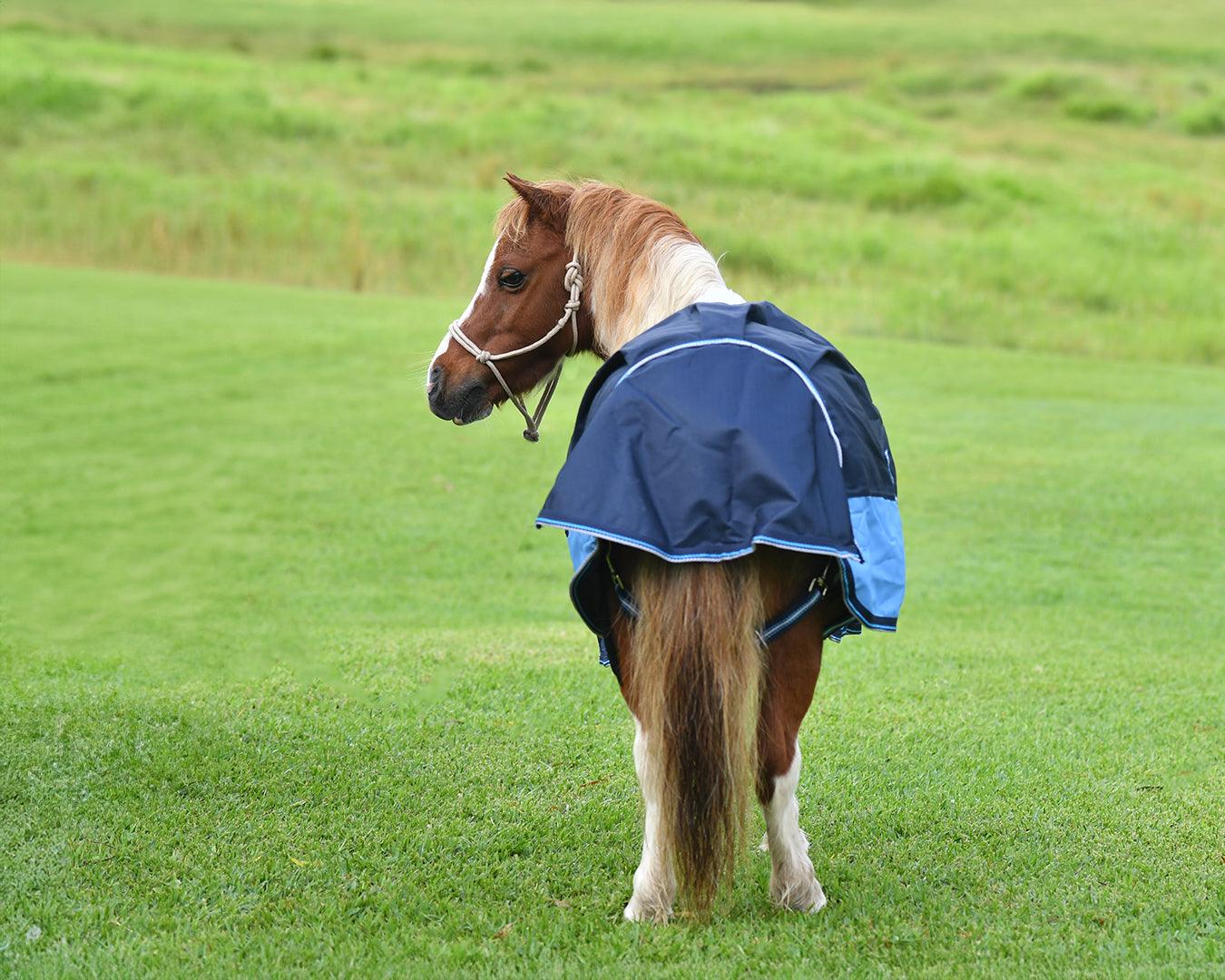 Piccolo Mini 600D 100G Fill Turnout Rug - Image 6