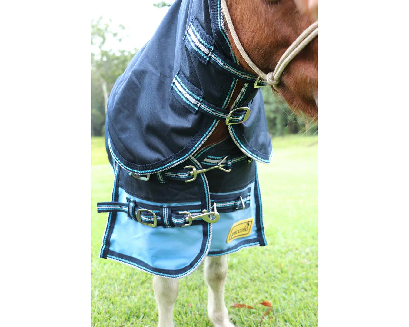 Piccolo Mini 600D 100G Fill Turnout Combo - Image 5
