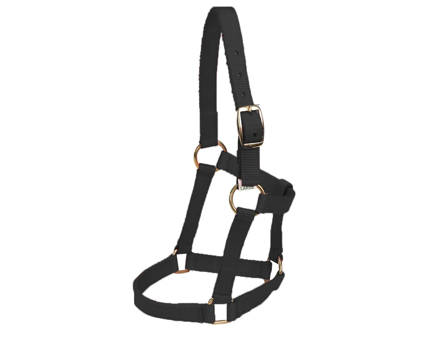 Piccolo Mini Horse PP Halter - Image 3