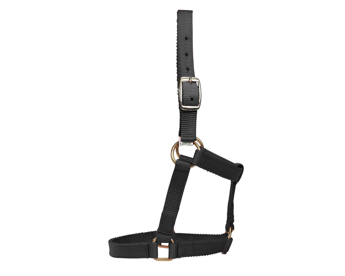 Piccolo Mini Horse PP Halter - Image 4