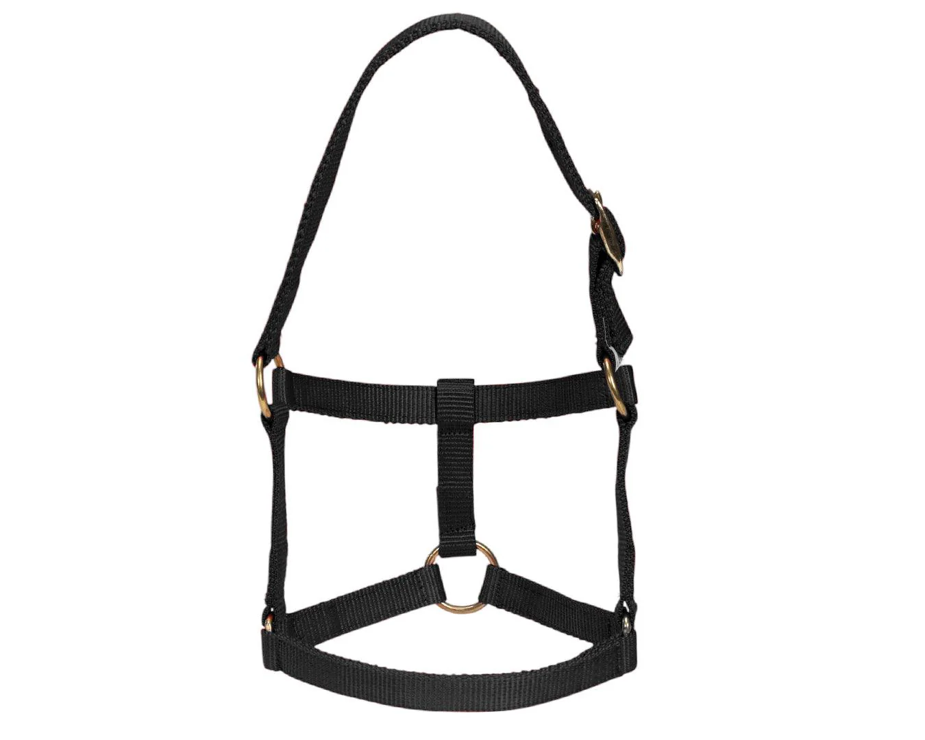 Piccolo Mini Horse PP Halter - Image 5