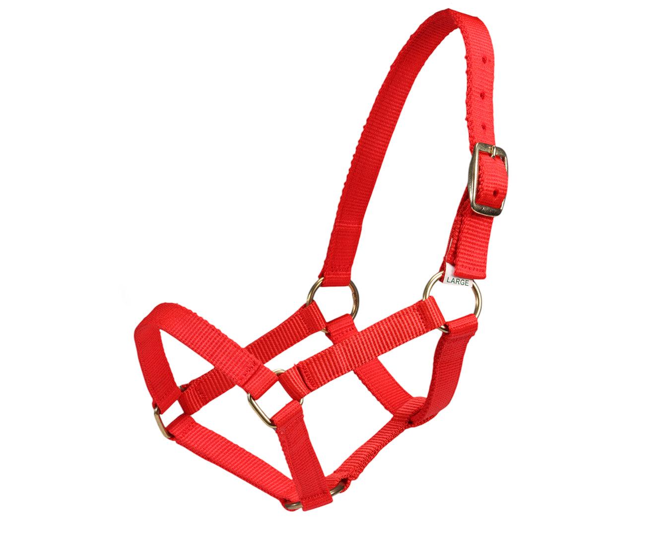 Piccolo Mini Horse PP Halter - Image 6