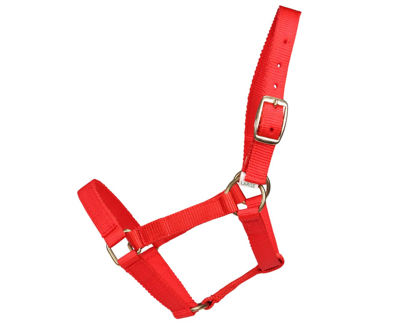 Piccolo Mini Horse PP Halter - Image 7