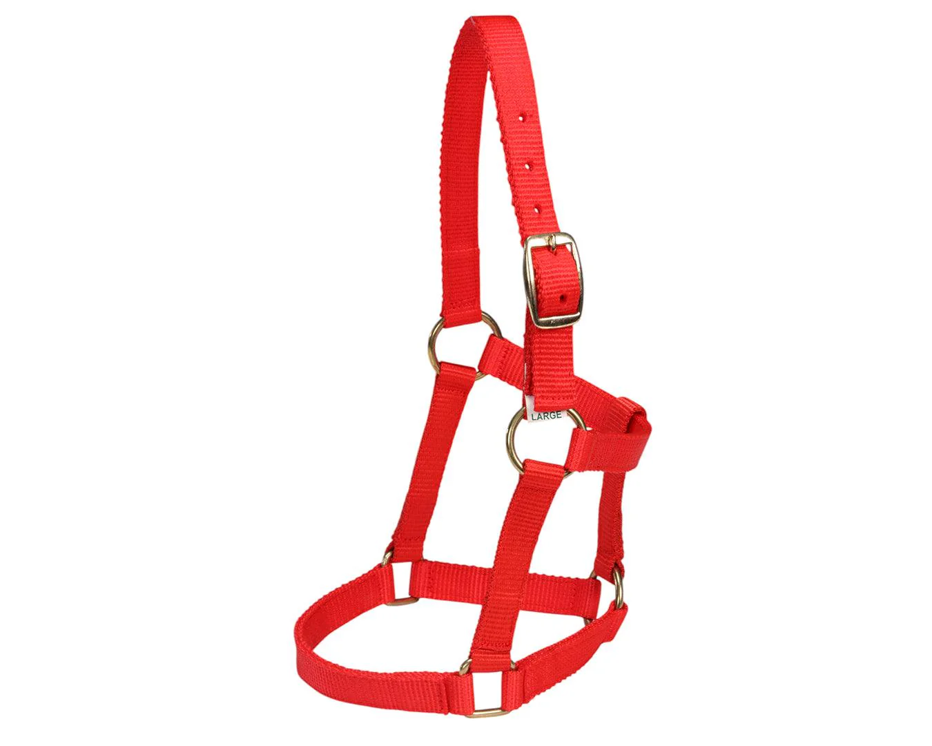 Piccolo Mini Horse PP Halter - Image 8