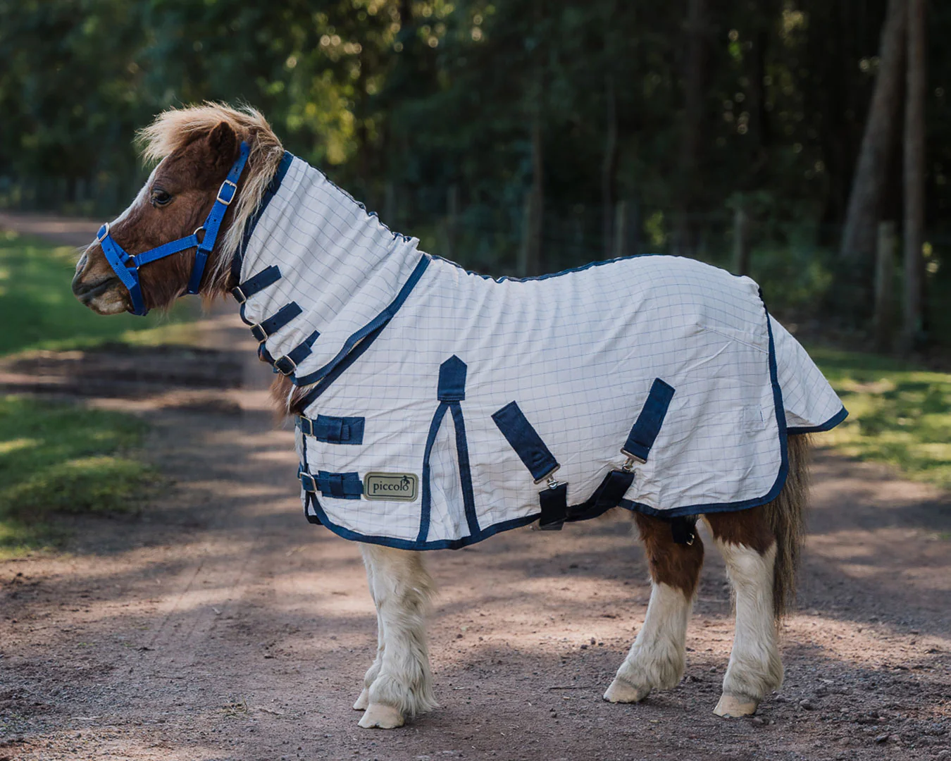 Piccolo Mini Summer Rug Combo