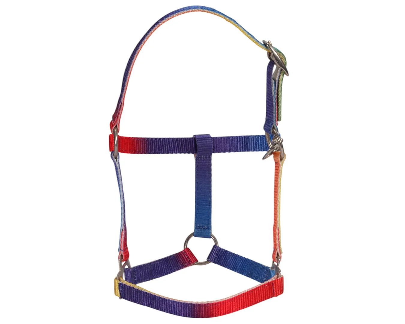 Piccolo Rainbow Halter - Image 4