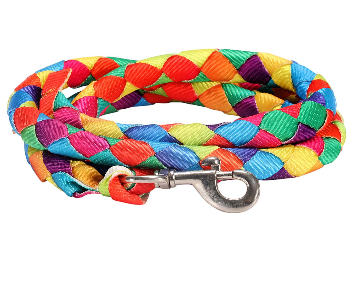 Piccolo Rainbow Lead Rope - Image 4