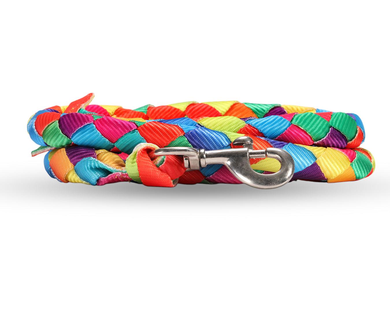 Piccolo Rainbow Lead Rope - Image 5