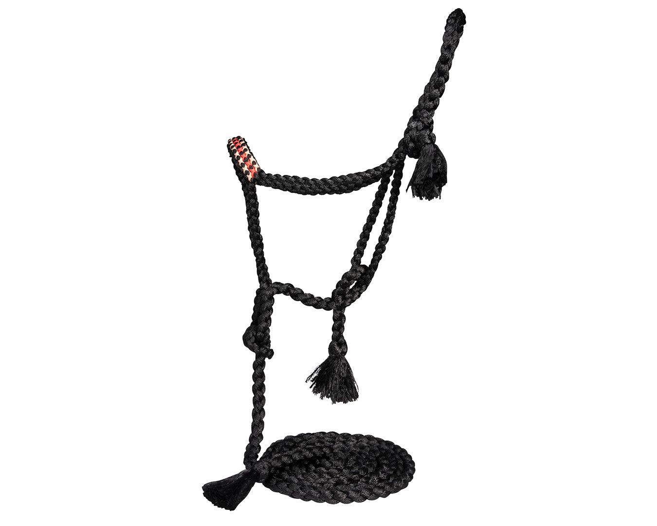 Professional's Choice Cowboy Braided Halter With Lead - Image 9