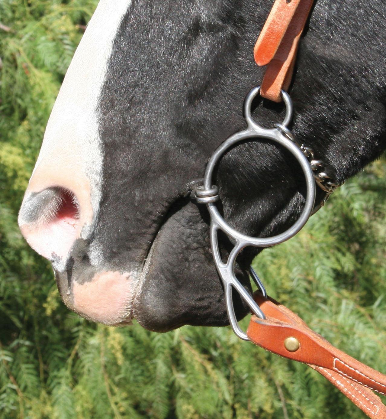 Professional's Choice Equisential Wonder Bits - Image 2