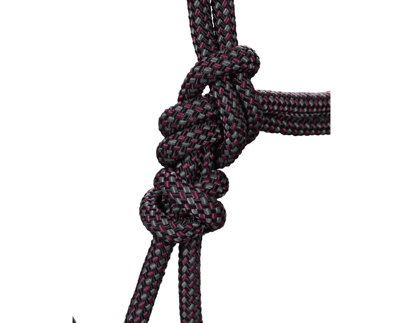 Professional's Choice Rope Halter & Lead - Image 7