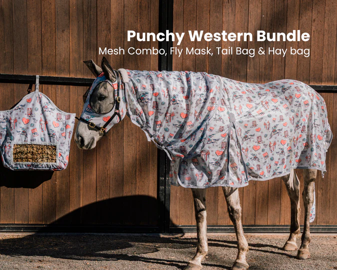 Punchy Western Bundle