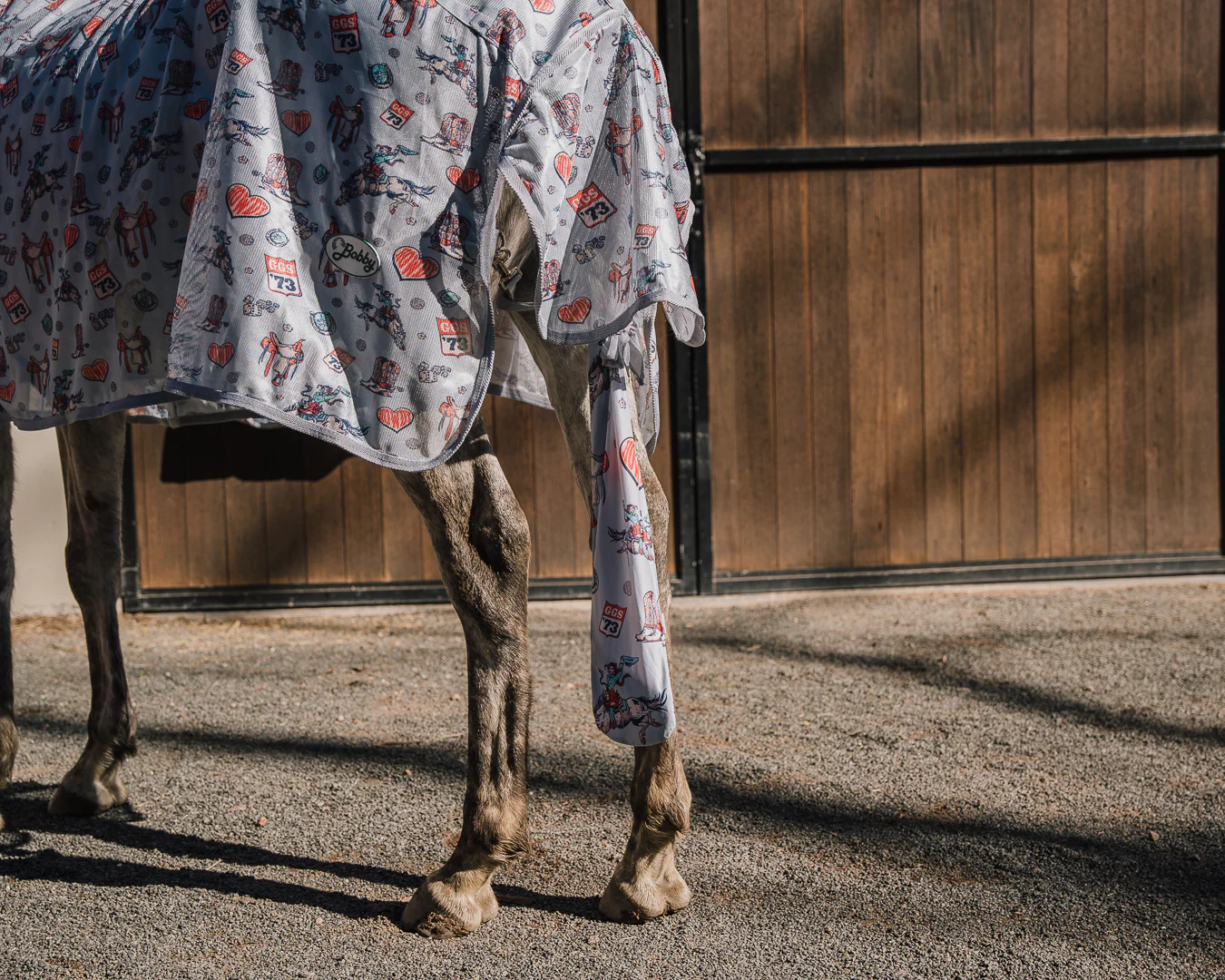Punchy Western Bundle - Image 6