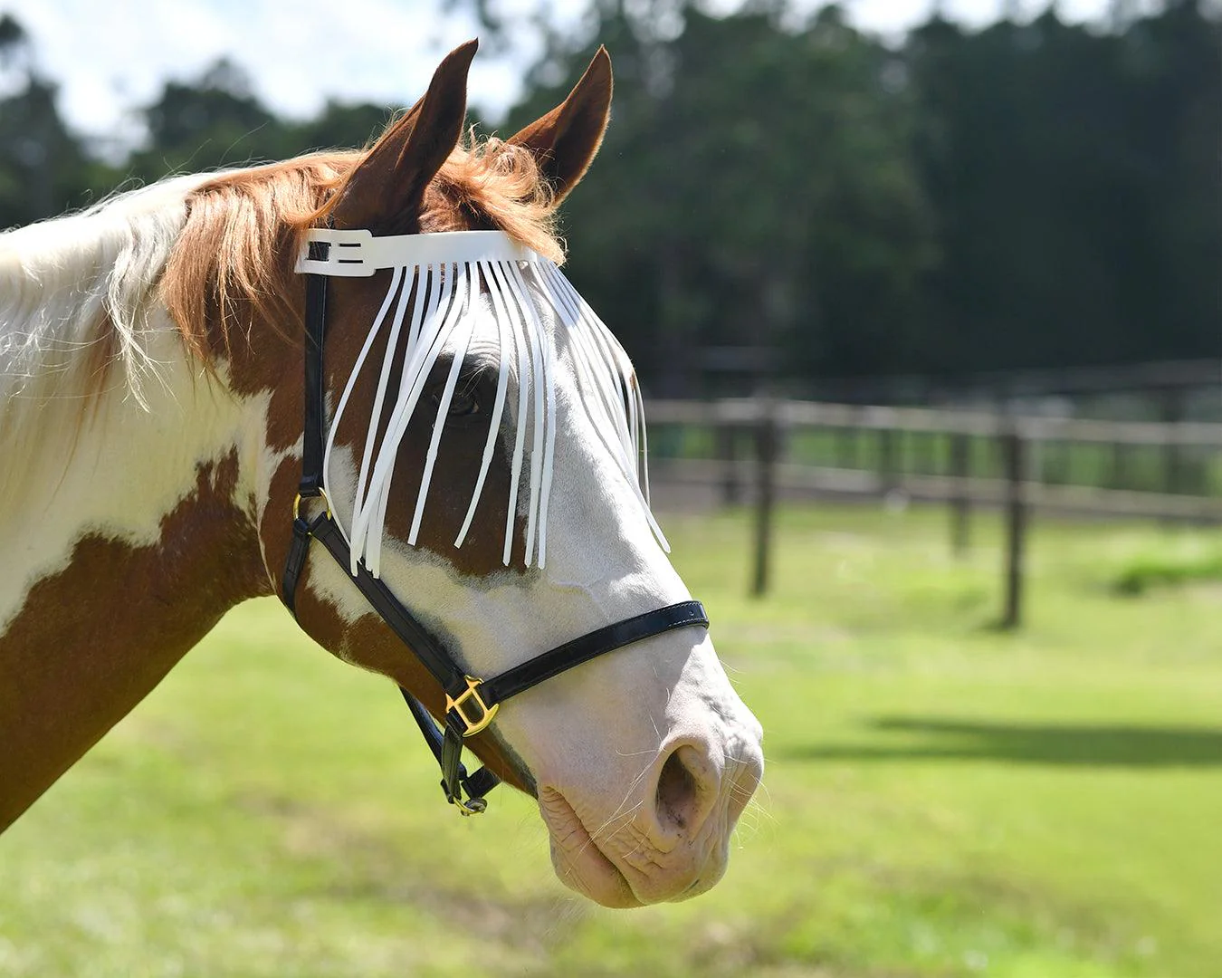 PVC Browband Fly Screen - Image 2