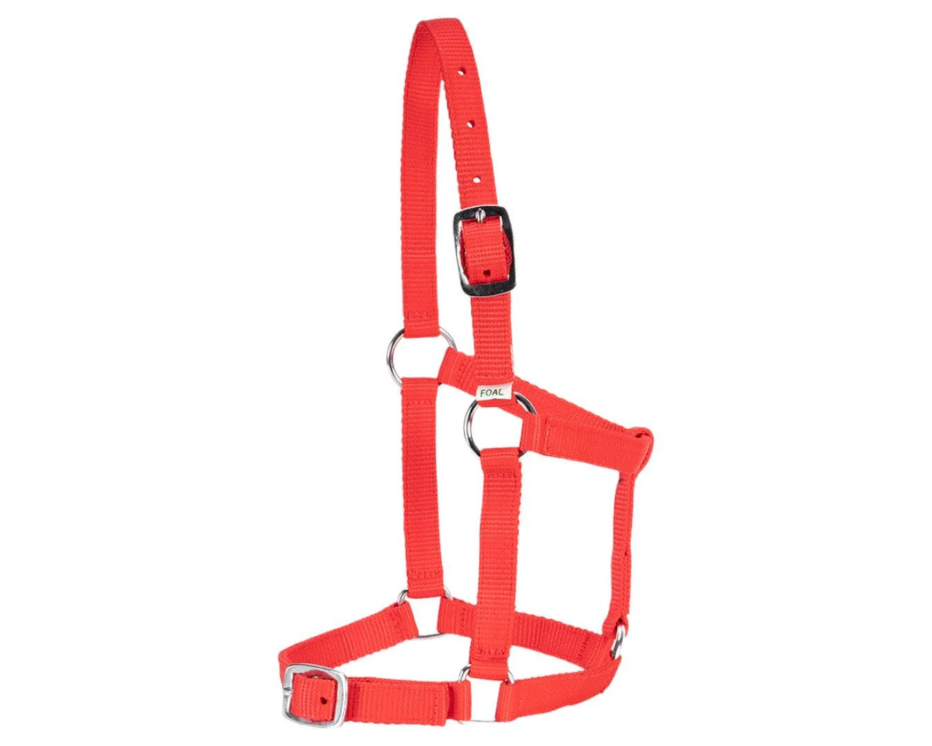 Rancher Economy Foal Halter - Image 10