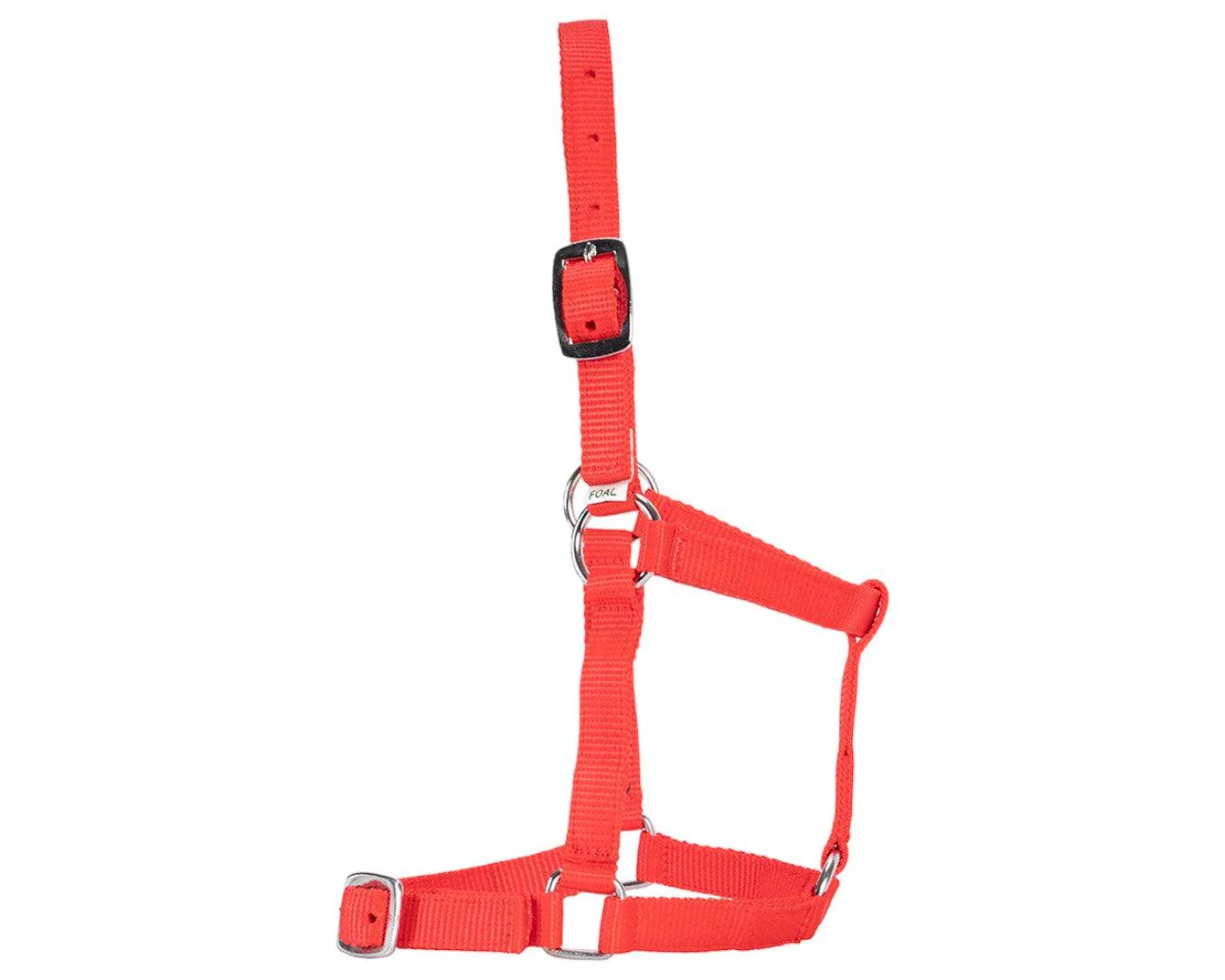 Rancher Economy Foal Halter - Image 12
