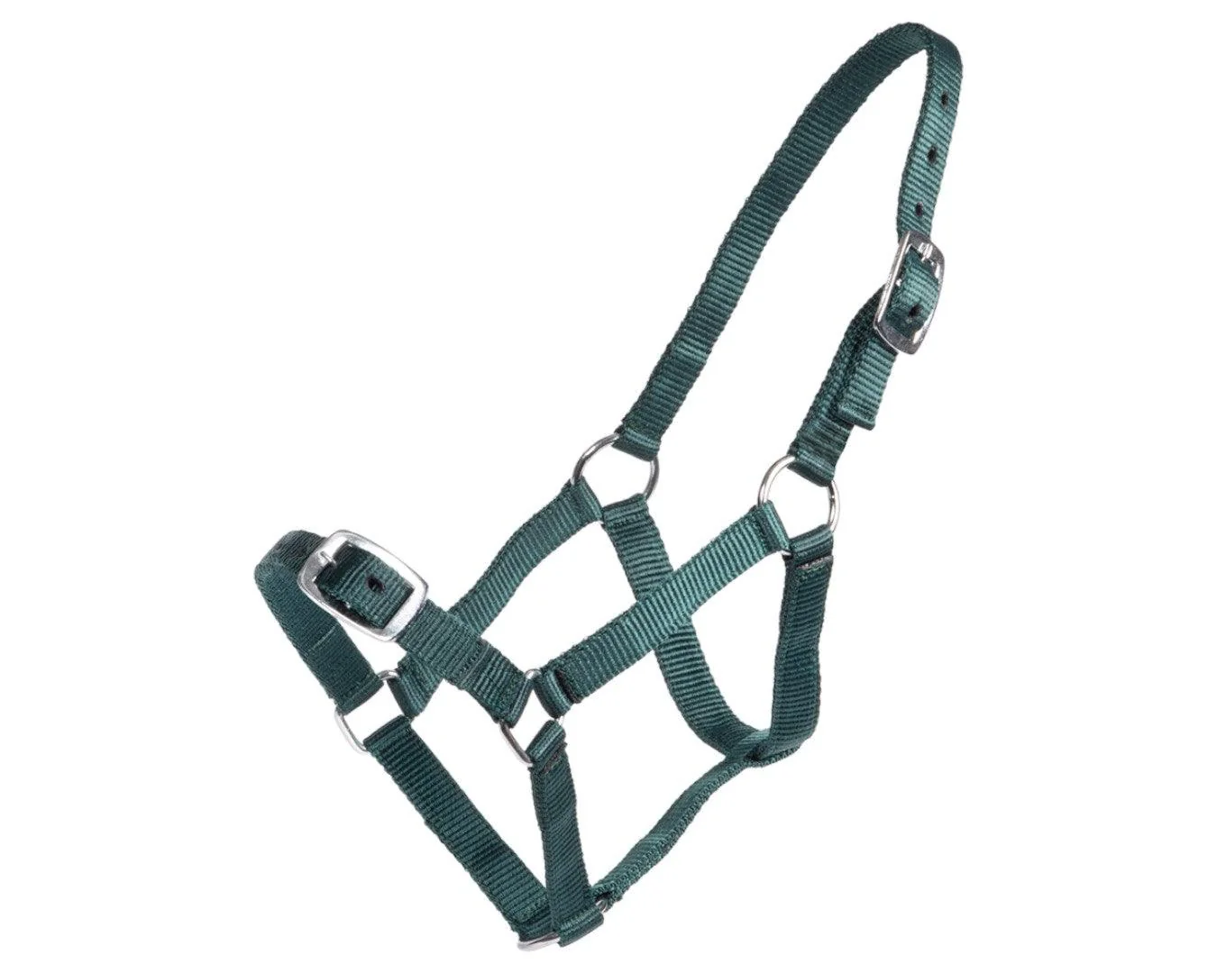 Rancher Economy Foal Halter - Image 13