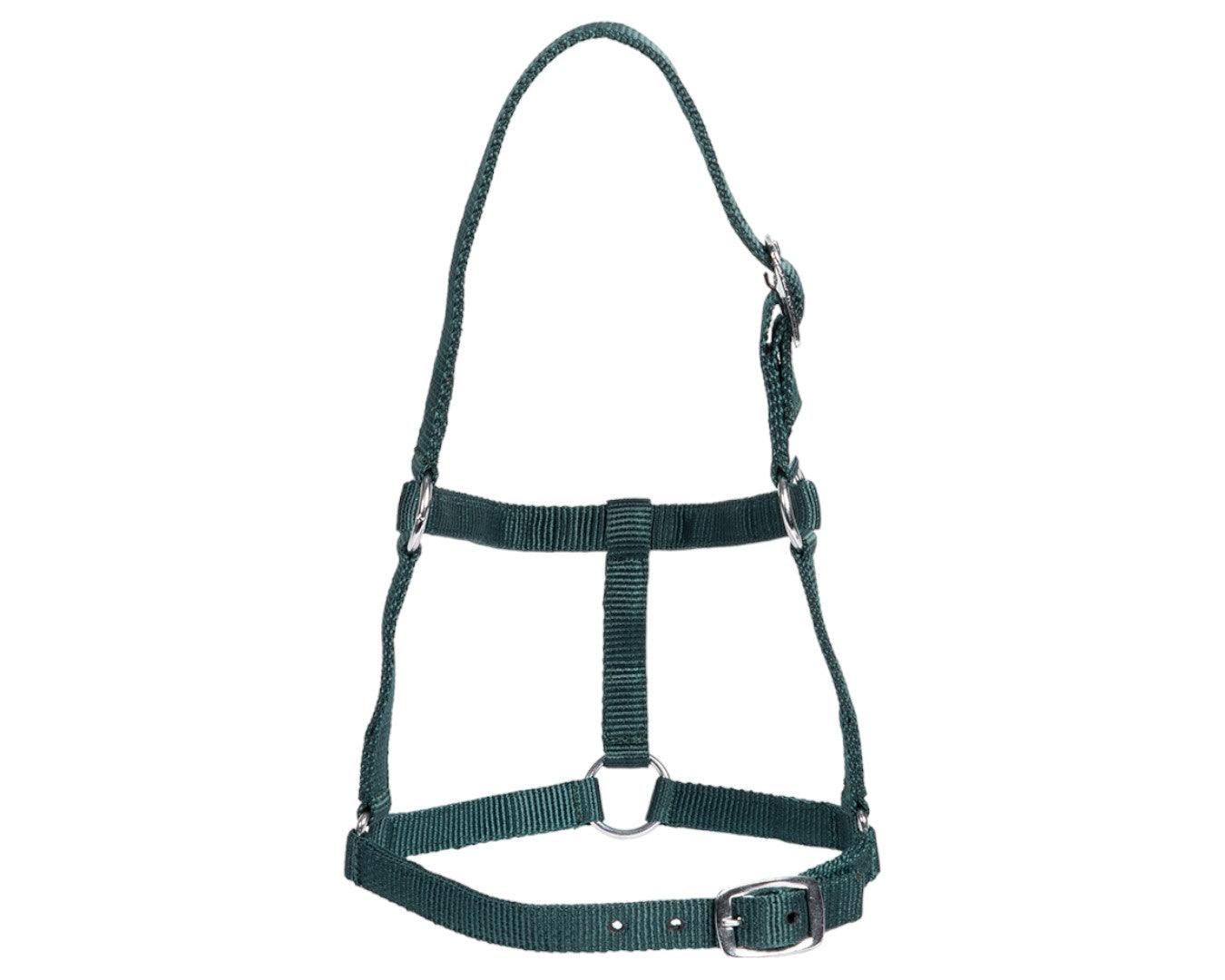 Rancher Economy Foal Halter - Image 15