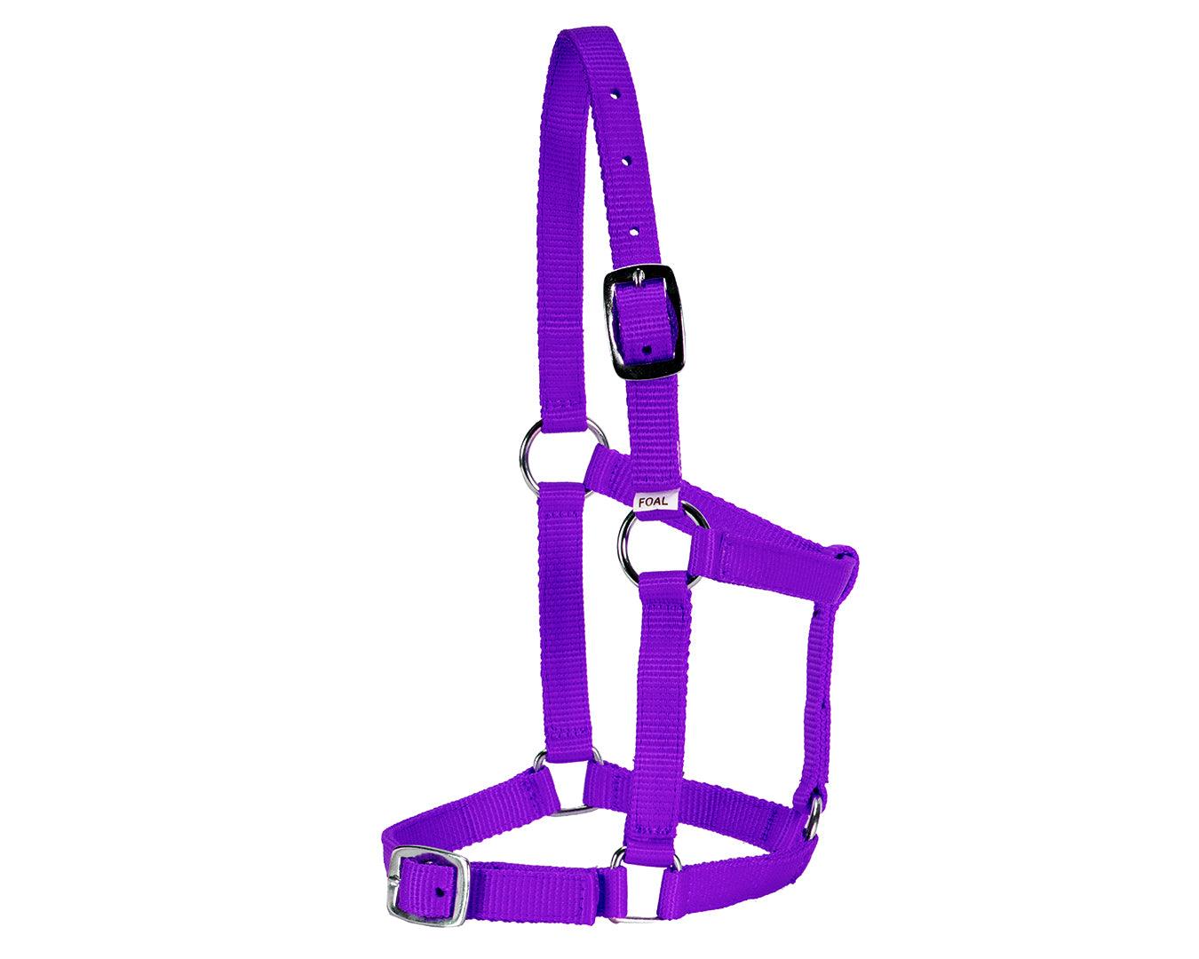 Rancher Economy Foal Halter - Image 2