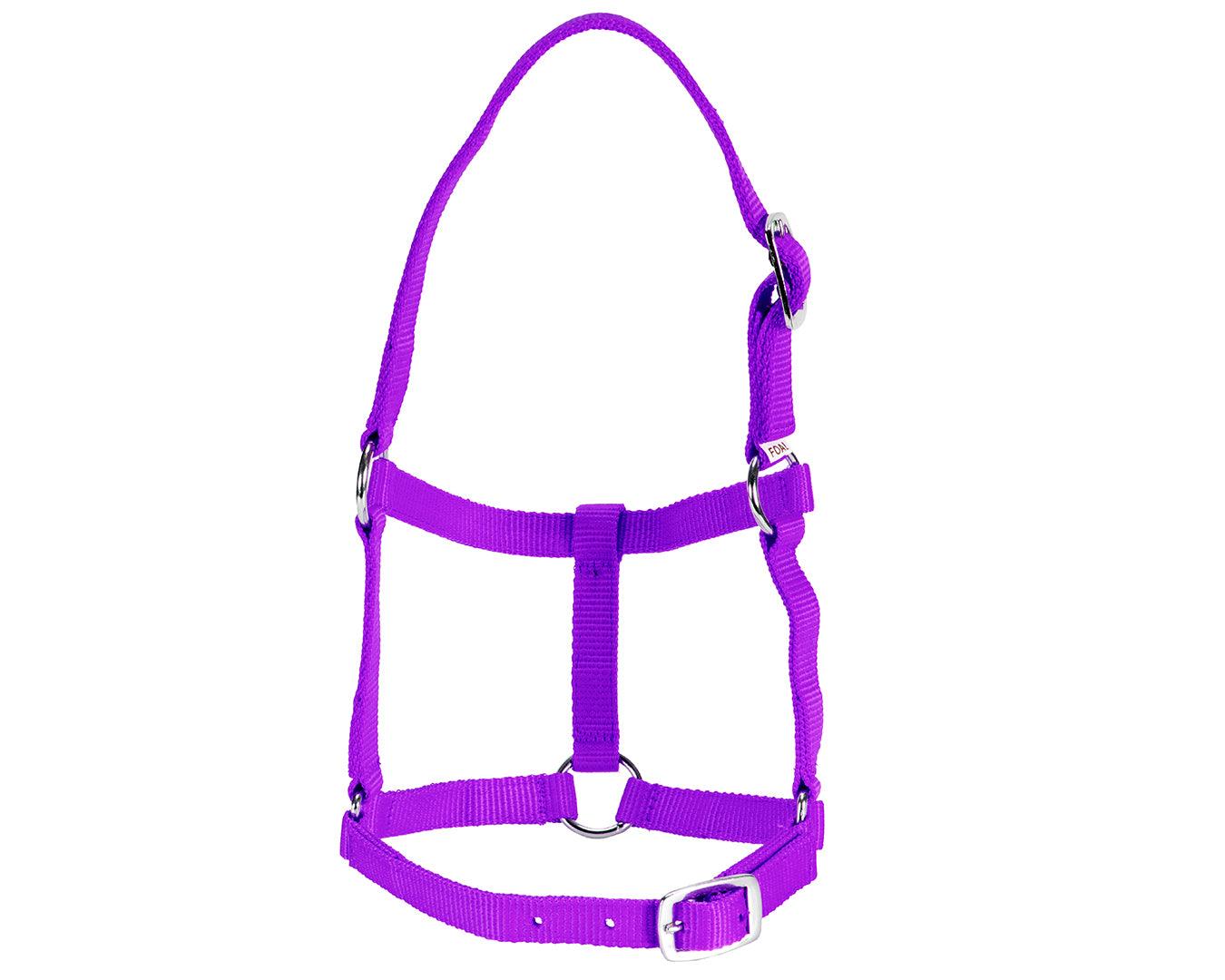 Rancher Economy Foal Halter - Image 3